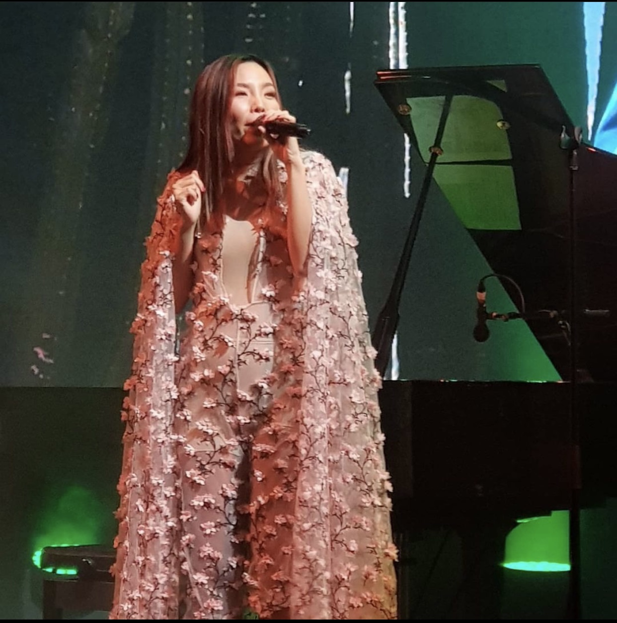 Dami Im performed in her own concert at the Adelaide Festival “Summerhouse”